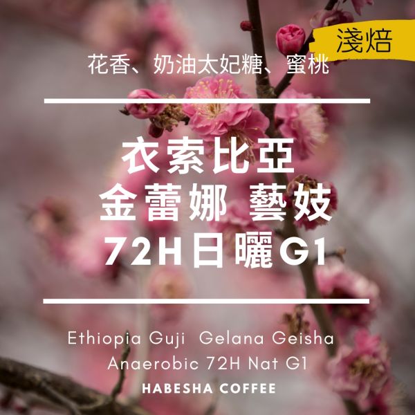 ►衣索比亞 藝妓 金蕾娜 厭氧72小時日曬 G1 哈巴夏,哈巴夏咖啡,HABESHA COFFEE,衣索比亞藝妓\