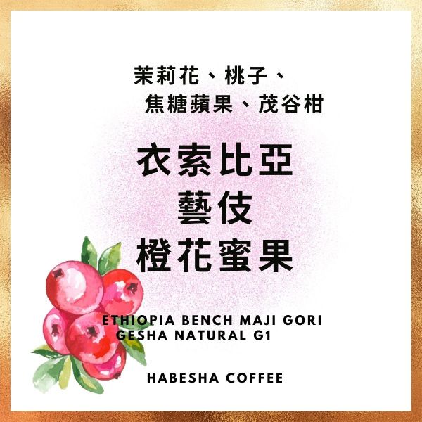 限時4日優惠 ! ►衣索比亞 藝伎 橙花蜜果 日曬 G1 哈巴夏,哈巴夏咖啡,哈巴夏咖啡本店,咖啡豆,手沖咖啡豆,單品咖啡豆,淺焙咖啡豆,淺烘焙咖啡,咖啡豆推薦,咖啡豆專賣,淺焙咖啡豆, G1咖啡,衣索比亞,藝妓,G1