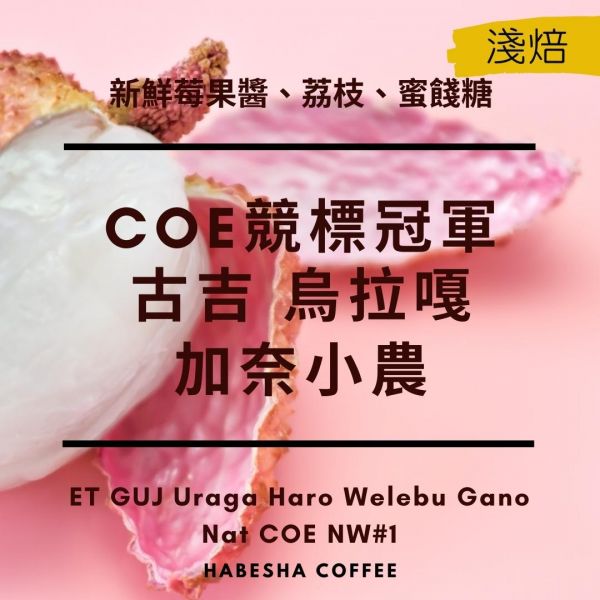 加價購！♕COE競標NW冠軍►〔衣索比亞 谷吉 烏拉嘎 加奈小農 日曬】100g 哈巴夏咖啡豆,咖啡豆烘焙,咖啡豆網購,衣索比亞咖啡豆,手沖咖啡豆,淺焙咖啡豆,咖啡豆推薦