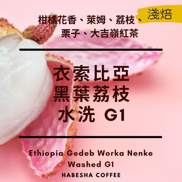 即將售完！►衣索比亞 沃卡 黑葉荔枝 水洗 G1 哈巴夏,哈巴夏咖啡,哈巴夏咖啡本店,咖啡豆,手沖咖啡豆,單品咖啡豆,淺焙咖啡豆,淺烘焙咖啡,沃卡,蓋德奧,耶加雪菲,G1,水洗