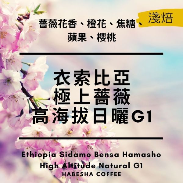 即將售完!►衣索比亞 西達摩 班莎 極上薔薇 日曬G1 衣索比亞,極上薔薇,日曬咖啡豆,G1咖啡豆,西達摩咖啡
,哈巴夏咖啡,哈巴夏