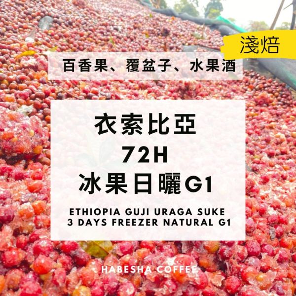 新豆上架！►衣索比亞 古吉 冰果日曬 G1 衣索比亞冰果日曬G1