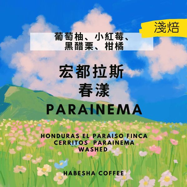 COE冠軍品種！宏都拉斯 Parainema 春漾 水洗 哈巴夏,哈巴夏咖啡,水洗處理咖啡,咖啡豆推薦,Parainema,COE冠軍品種