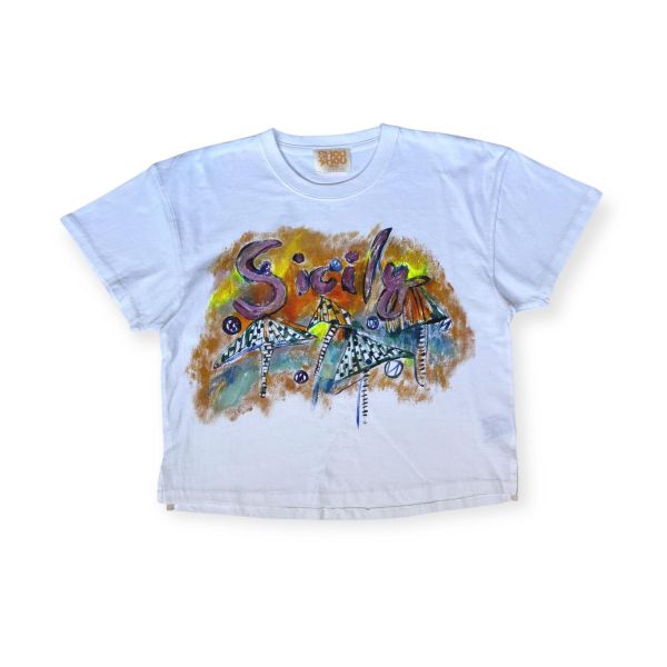 003/100 ATW #重磅短袖短版T恤 SHOUSHOU T-shirt 手繪 藝術 潮流 休閒 上衣 設計師