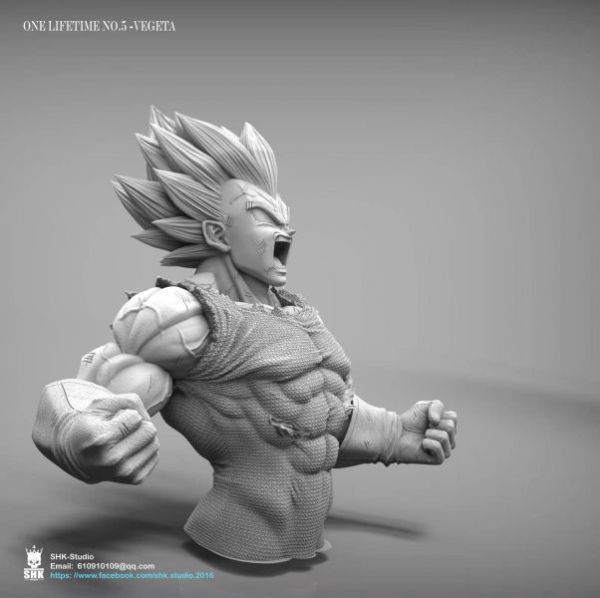 【補款】龍珠  貝吉塔一生 VEGETA ONE LIFETIME NO.5 / SHK—STUDIO 模型,  GK, 代理, 模型, 雕像, 玩具, 動漫, 周邊,
工作室, 正版授權, 電影, 美漫, 日漫, 漫畫, 海賊王,
七龍珠, 漫威, DC, 咒術迴戰, 五條悟, 火影忍者, 曉組織, 原創, 盒玩, 女角, 設計師玩具, 預購, PVC, 開箱, 鬼滅之刃, 女角, 魯夫, 索隆, 灌籃高手, 迪士尼, 現貨, 代購, 蠟筆小新, 變皮, 寶可夢, HEX, 精靈社, 一拳超人