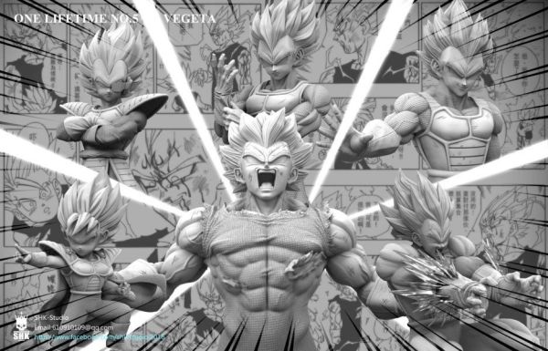 【補款】龍珠  貝吉塔一生 VEGETA ONE LIFETIME NO.5 / SHK—STUDIO 模型,  GK, 代理, 模型, 雕像, 玩具, 動漫, 周邊,
工作室, 正版授權, 電影, 美漫, 日漫, 漫畫, 海賊王,
七龍珠, 漫威, DC, 咒術迴戰, 五條悟, 火影忍者, 曉組織, 原創, 盒玩, 女角, 設計師玩具, 預購, PVC, 開箱, 鬼滅之刃, 女角, 魯夫, 索隆, 灌籃高手, 迪士尼, 現貨, 代購, 蠟筆小新, 變皮, 寶可夢, HEX, 精靈社, 一拳超人