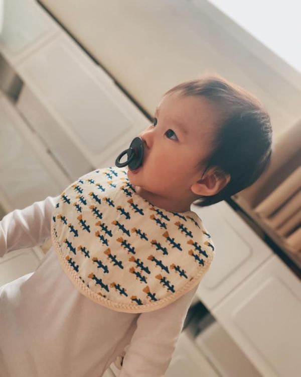 【彌月禮盒】玫瑰聖誕節 玫瑰絨,寶寶毯,豆豆毯,圍兜,安撫巾,固齒器,樂霏菲手作嬰幼兒精品,lafifibaby,圍兜