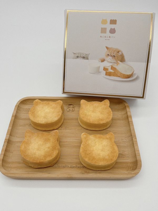 貓貓鳳梨酥 