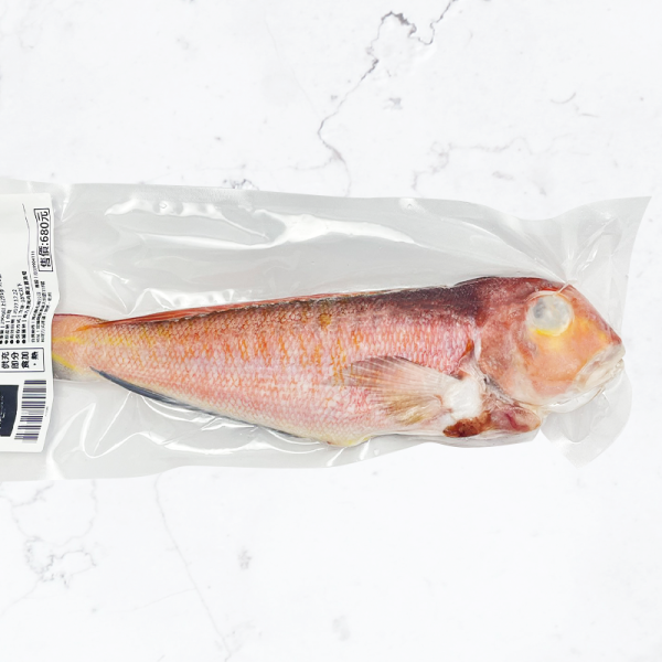 【新上市】南方澳野生現流-馬頭魚 馬頭魚