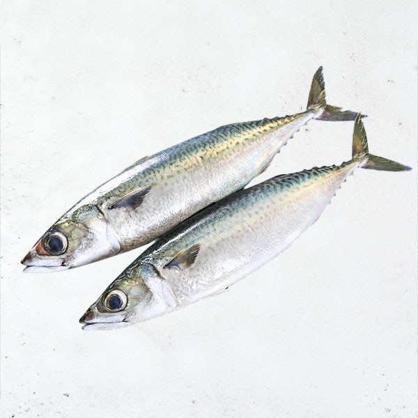 【活動贈品】南方澳花腹鯖魚乙包 挪威鯖魚,鯖魚ptt,薄鹽鯖魚,鯖魚切片,宜蘭伴手禮