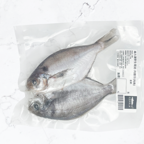 南方澳野生現流-肉鯽仔(肉魚) 