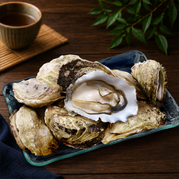 澎湖鮮凍帶殼牡蠣 澎湖牡蠣、帶殼牡蠣、鮮凍牡蠣、冷凍牡蠣、澎湖生蠔、烤牡蠣、蒜蓉牡蠣、清蒸牡蠣、烤肉海鮮