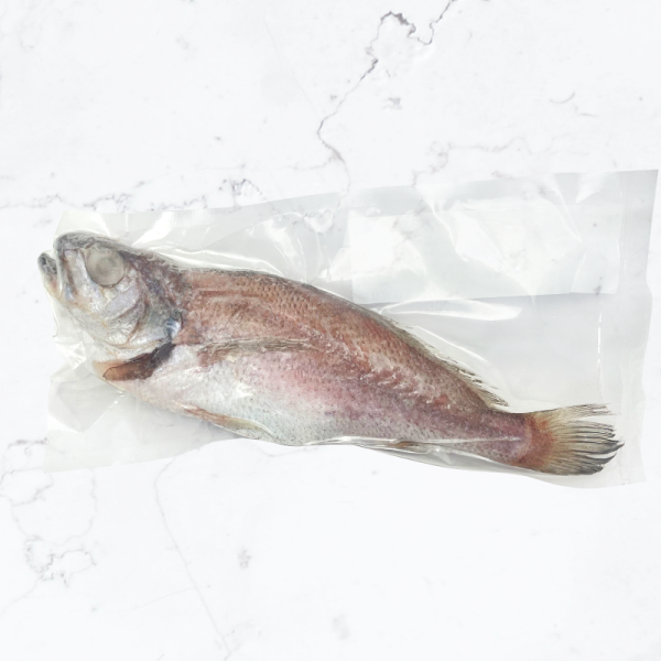 南方澳野生現流-黑喉(三去) 