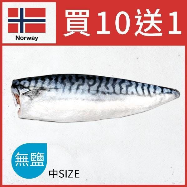 頂級無鹽挪威鯖魚切片 挪威,鯖魚,無鹽,魚