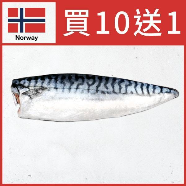 頂級無鹽挪威鯖魚切片 挪威,鯖魚,無鹽,魚