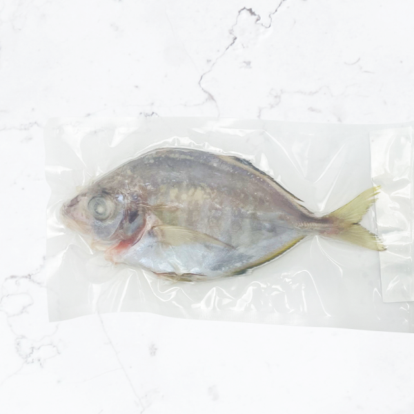 【新上市】南方澳野生現流-甘仔魚 馬頭魚