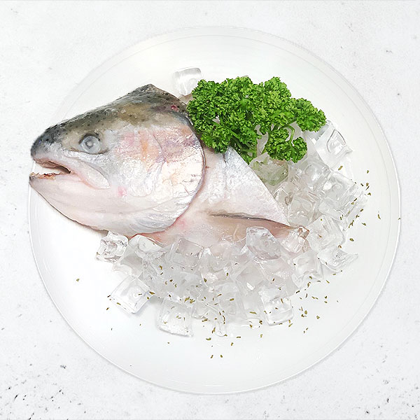 挪威大西洋鮭魚(頭) 鮭魚,大西洋鮭,鱒鮭,鱒魚,挪威,鮭魚魚頭,月子餐,養生餐,石狩鍋,智利鮭魚