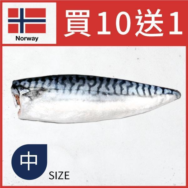 頂級挪威薄鹽鯖魚切片(中片) 挪威鯖魚,鯖魚ptt,薄鹽鯖魚,鯖魚切片,宜蘭伴手禮
