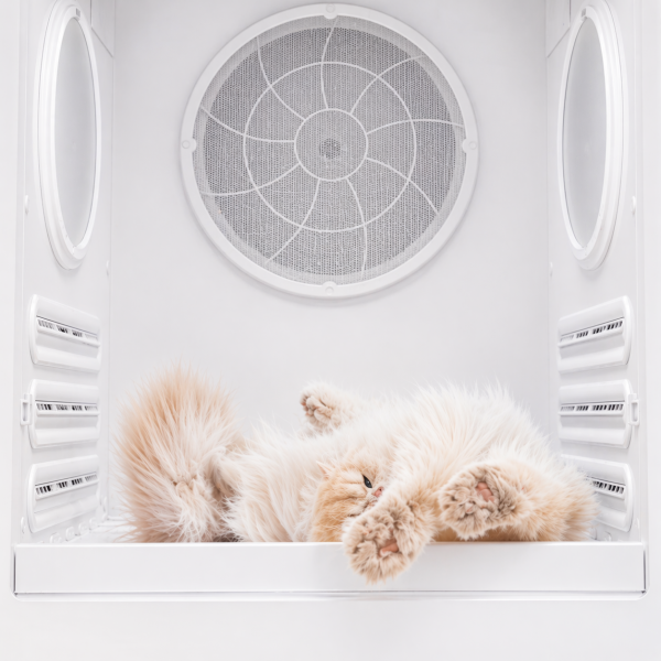 【Jirpet 大型 C7S｜TurboFlow三渦輪風暴快乾烘毛室】【專為大型寵物而生的吹乾解決方案】針對毛量多、體型大的寵物設計， 從風量、風壓到覆蓋範圍全面升級， 讓過去需要長時間吹乾的過程，變得輕鬆且高效率。 寵物烘乾機
毛髮乾燥機
寵物護理用品
毛髮護理工具
狗狗吹風機
貓咪毛髮護理
速乾寵物毛巾
溫風寵物吹風機
靜音寵物烘毛機
持久高功率烘毛機