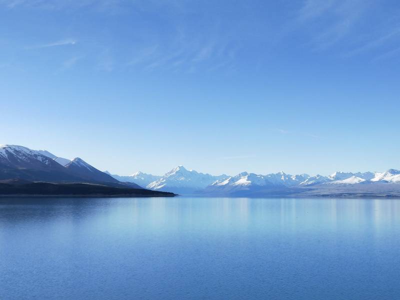 Lake Pukaki 花語,禮品,小卡,送禮,禮物,花,花店