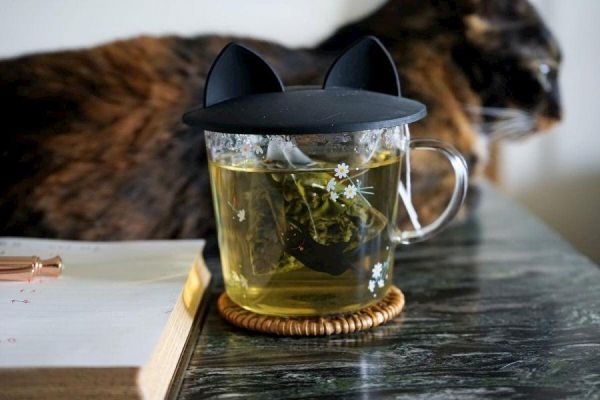 綻香冬片(Luna) 茶包(2盒) 茶葉,冬片,茶園,貓茶包,可愛貓,茶,易錕茶堂,茶包,方便,
優惠,台灣茶,團購