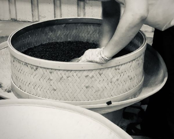 乙巳純陽炭焙烏龍(2025,重火) 茶葉,烏龍茶,茶園,烏龍,炭焙,茶,易錕茶堂,純陽