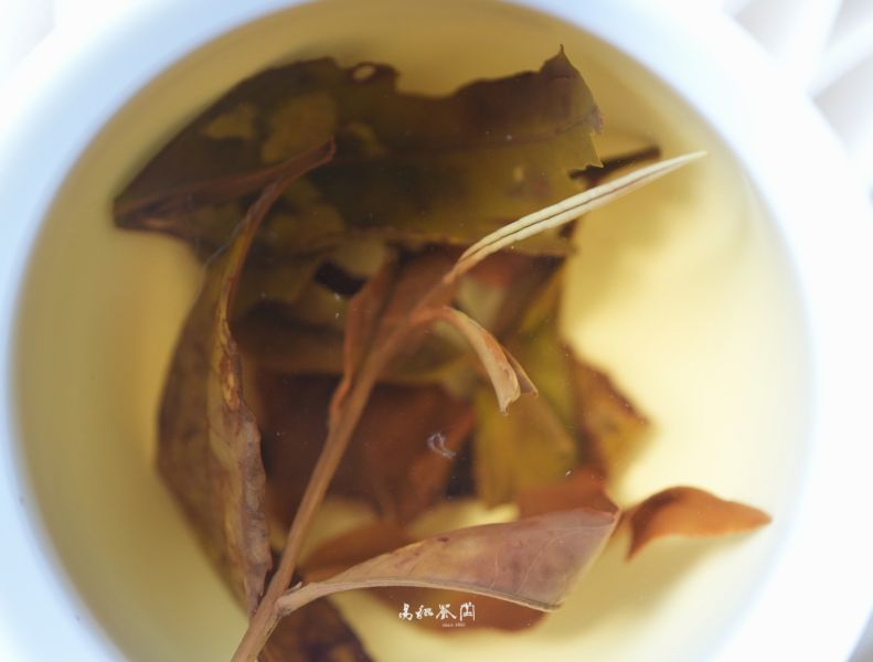 野放月光春曦(白茶，早鳥優惠) 茶,白茶,有機,自然,健康,台灣茶,高山茶
