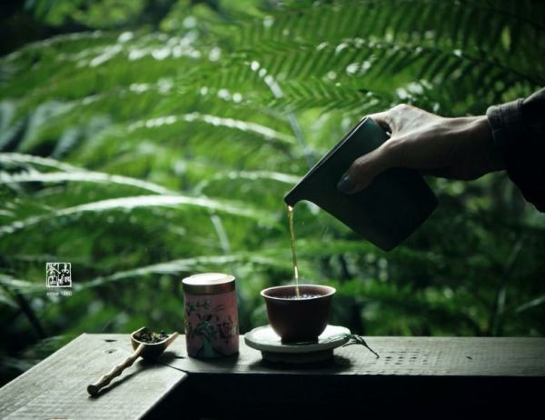 乙巳純陽炭焙烏龍(2025,重火) 茶葉,烏龍茶,茶園,烏龍,炭焙,茶,易錕茶堂,純陽