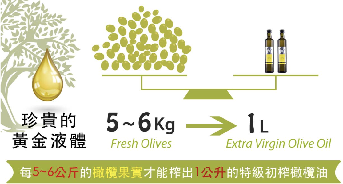 澳洲樂霸特級初榨橄欖油(首摘) 單瓶 易錕茶堂,油,頂級,健康,耐高溫,烹調,料理,護胃,食療,烏龍茶籽油,頂級,愛馬仕,好油,油,茶,烏龍,橄欖油,澳洲