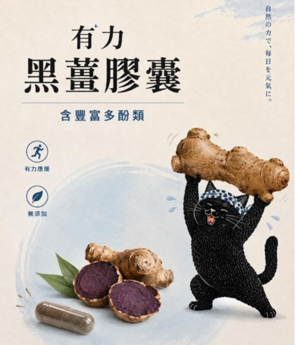 有力黑薑膠囊 紅土,老薑,薑黃,紅薑黃,台灣,小農,消炎,抗癌,保肝
