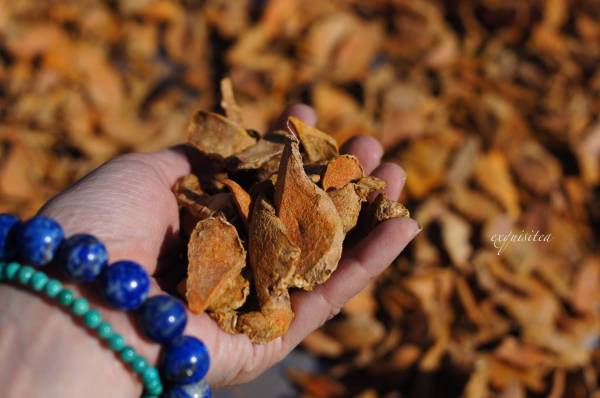 紅土紅薑黃粉(全素） 紅薑黃粉,薑黃粉,咖哩粉,易錕茶堂