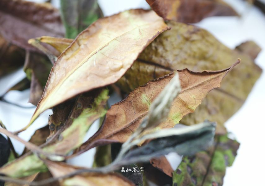 野放月光春曦(白茶，早鳥優惠) 茶,白茶,有機,自然,健康,台灣茶,高山茶