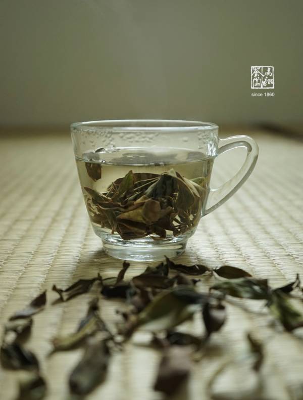 野放月光春曦(白茶，早鳥優惠) 茶,白茶,有機,自然,健康,台灣茶,高山茶
