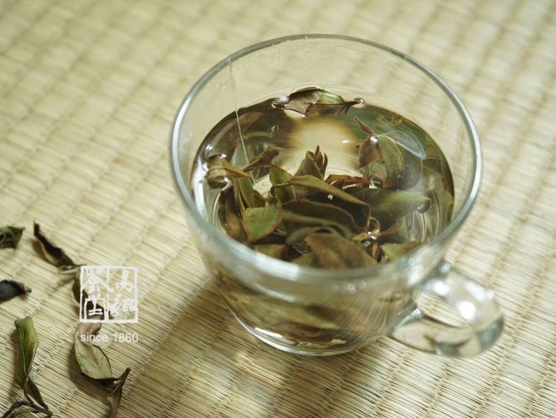 野放月光春曦(白茶，早鳥優惠) 茶,白茶,有機,自然,健康,台灣茶,高山茶