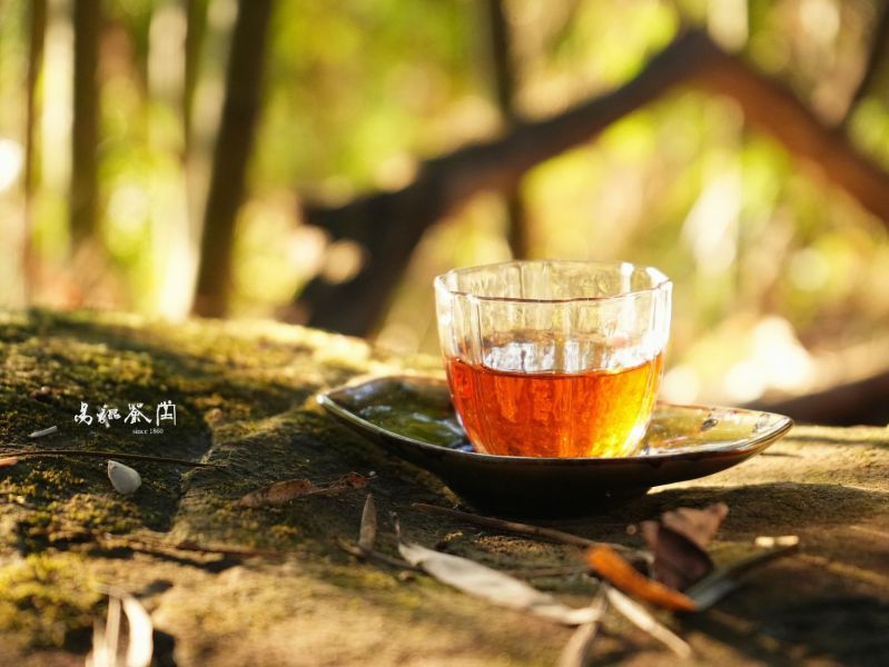 濃情蜜意紅烏龍 茶葉,四季春,茶園,茶,易錕茶堂