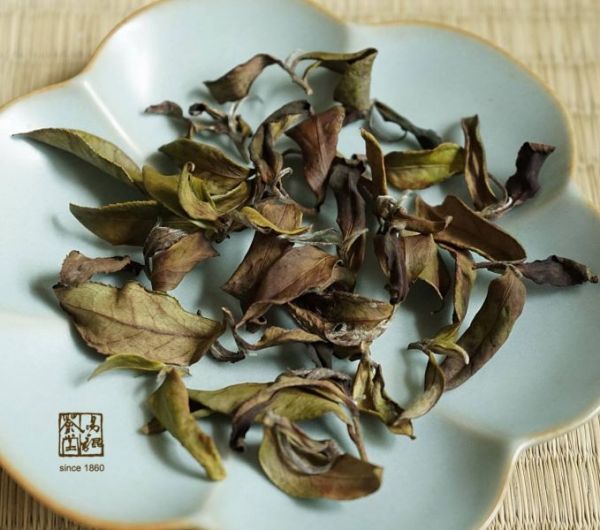 野放月光春曦(白茶，早鳥優惠) 茶,白茶,有機,自然,健康,台灣茶,高山茶