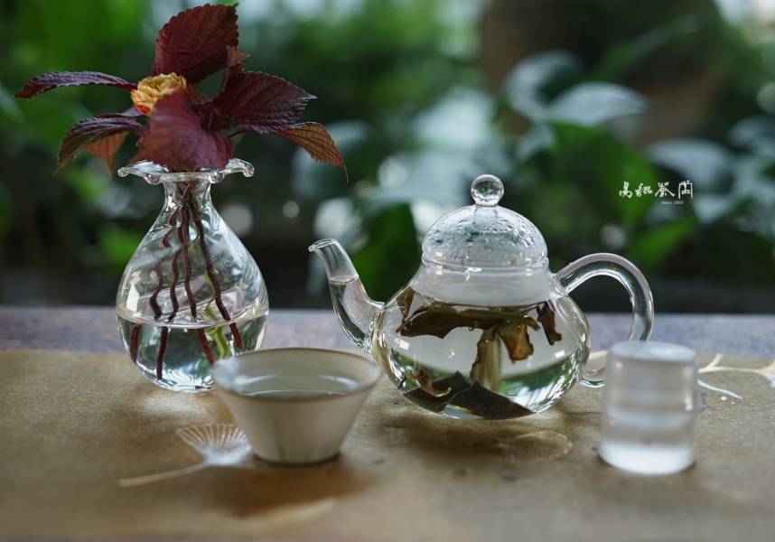 野放月光春曦(白茶，早鳥優惠) 茶,白茶,有機,自然,健康,台灣茶,高山茶