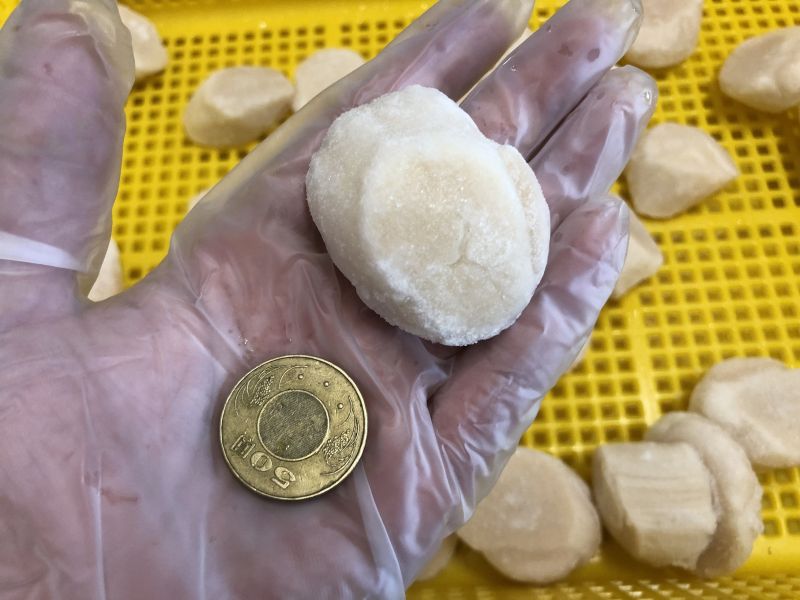 幸福海物｜北海道帆立貝貝柱(生食用) 