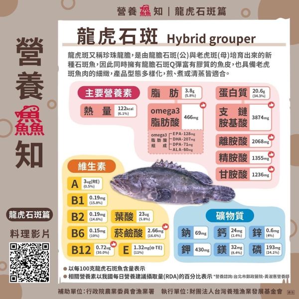 幸福海物｜台灣養殖龍虎斑菲力 