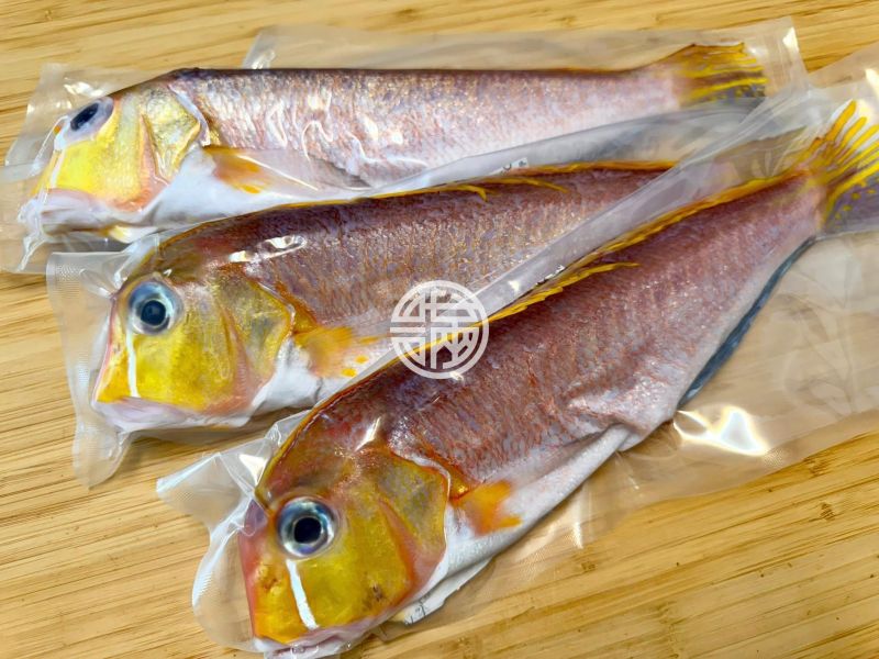 幸福海物｜馬頭魚 