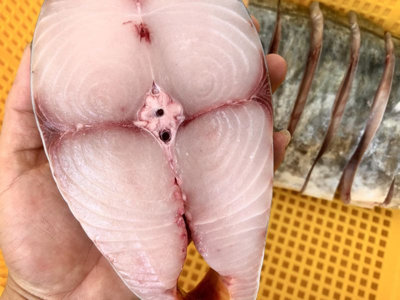 幸福海物｜現流土魠輪切 