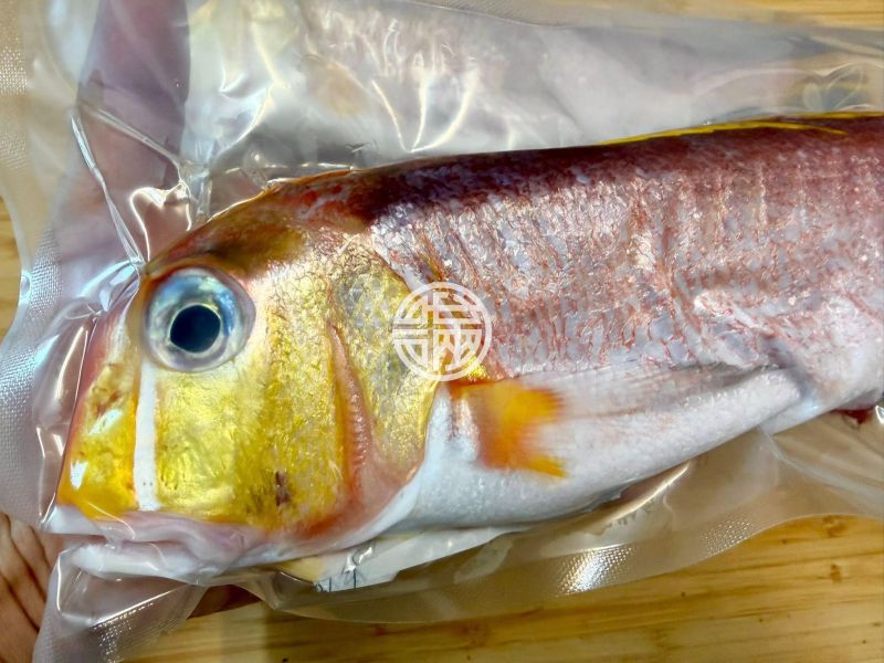 幸福海物｜馬頭魚 
