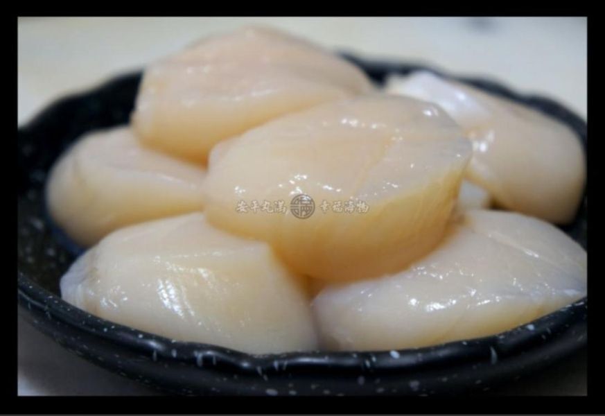 幸福海物｜北海道產帆立貝貝柱(熟食用) 