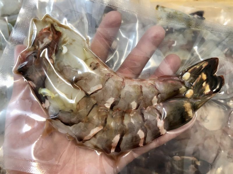 幸福海物｜草蝦-鳳尾蝦仁 
