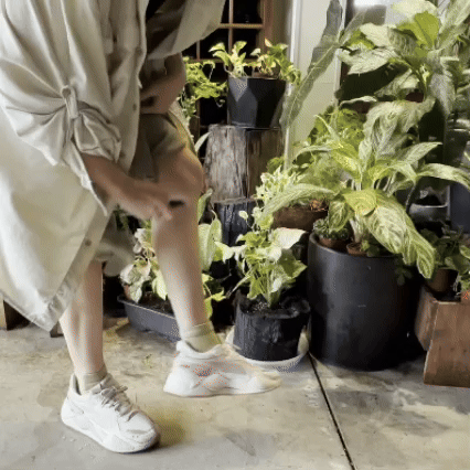 【人用】小黑蚊斑蚊專用防蚊液（含檸檬桉精油） 蟲蟲退散,狗狗防蚤,除蚤噴霧,防蚤噴霧,防壁蝨,除壁蝨, 蚤蟲高手,毛蚤蟲高手,毛起來防護噴霧,防護噴霧, 跳蚤, 狗防蚤,貓防蚤,寵物防蚤,除蚤噴霧評價,木酢寵物達人,寵物清潔用品,木酢液