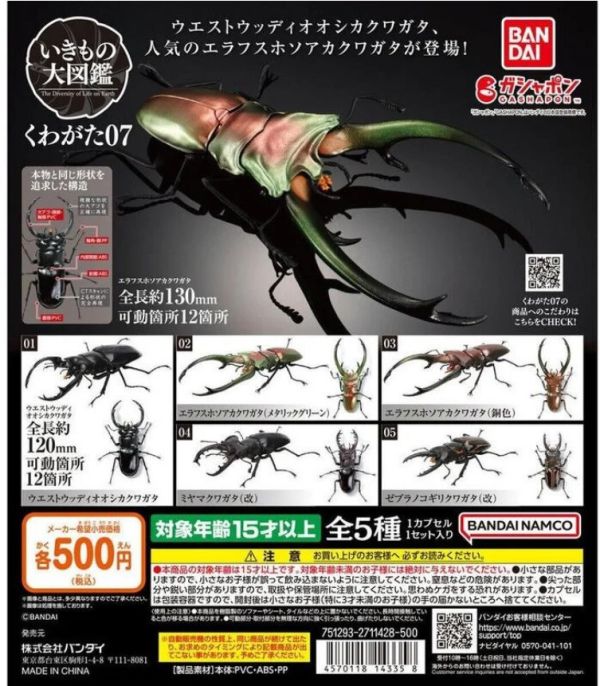 轉蛋 扭蛋 生物大圖鑑 鍬形蟲07 甲蟲 昆蟲 鍬形蟲 