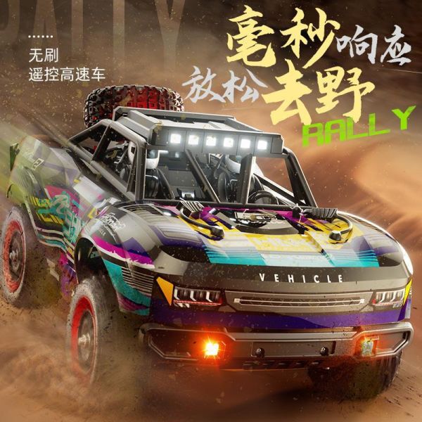 專業級 無刷 特斯拉 高速越野車 大腳車 