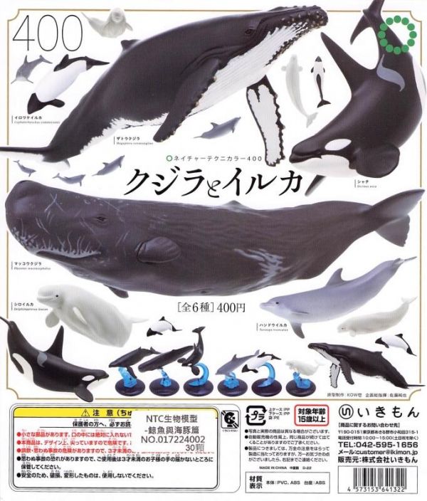 扭蛋 轉蛋 NTC生物模型 鯨魚與海豚篇 魚類 