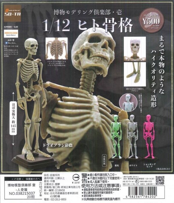 扭蛋 轉蛋 博物模型俱樂部 壹 