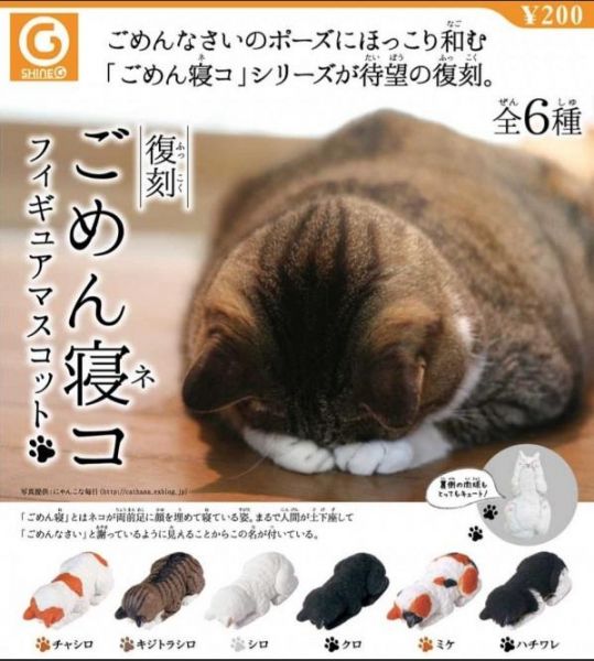 日版 扭蛋 轉蛋 道歉貓 趴睡貓 道歉貓睡姿公仔 